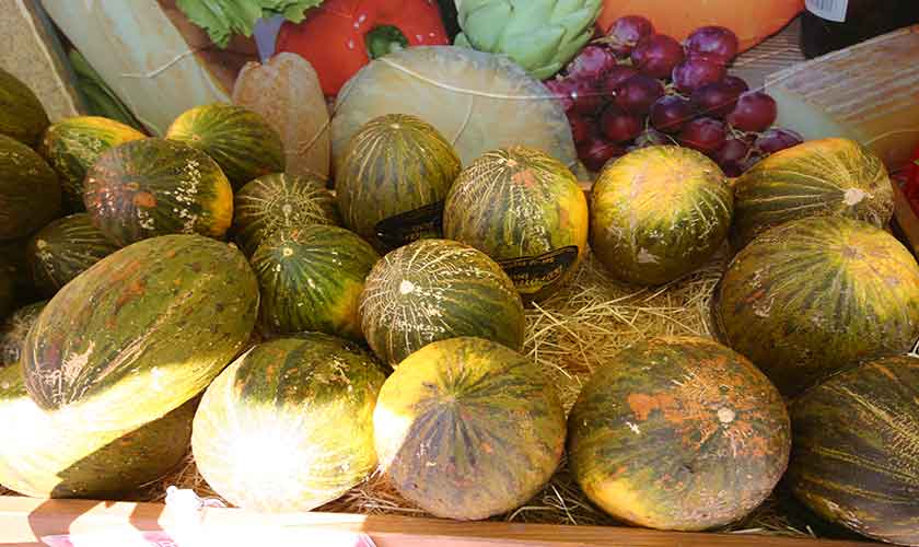 Mallorca Melonen 