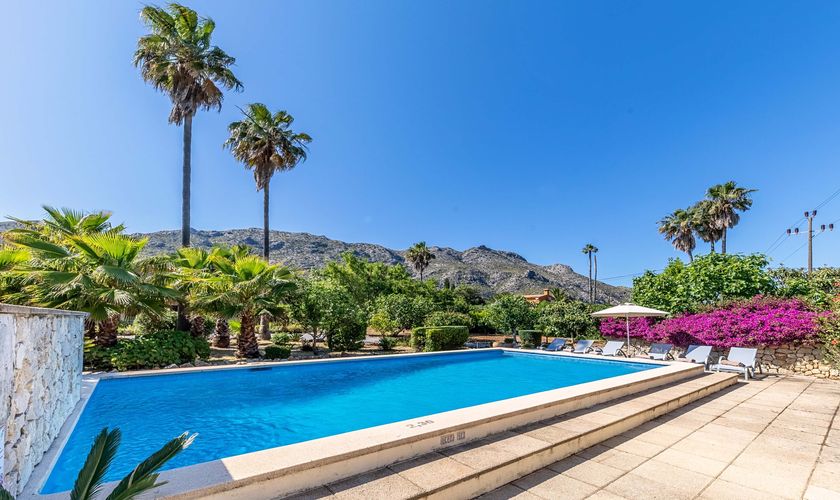 Terrasse und Pool mit Palmen Steiner Finca Mallorca PM 3547