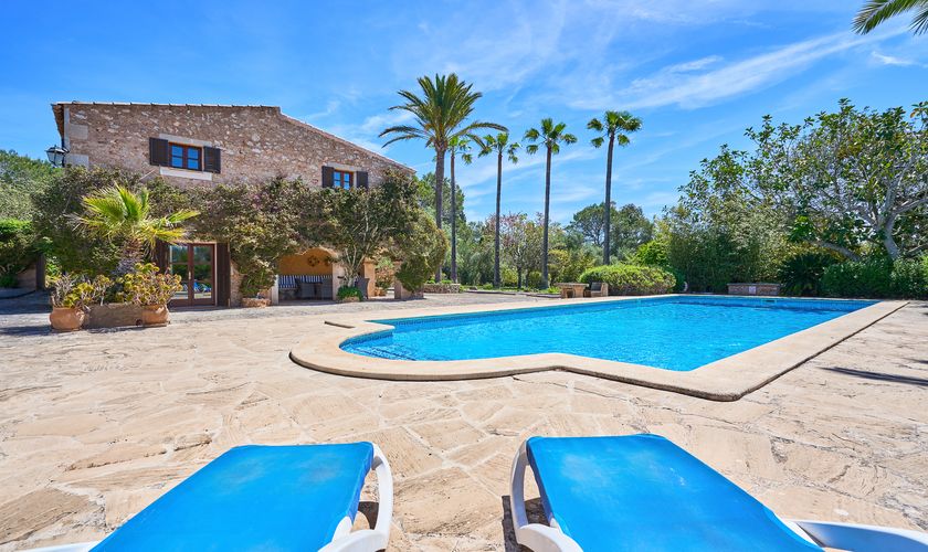 Terrasse mit Pool und Palmen im Hintergrund Finca Mallorca Cas Concos PM 6074
