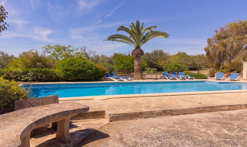 Terrasse am Pool mit gemauerter Sitzbank Südosten Mallorca PM 6074