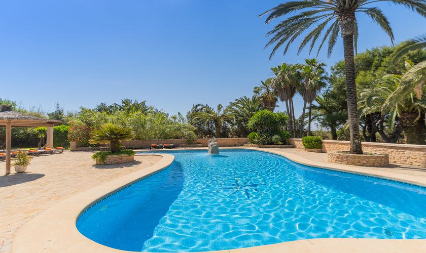 Pool mit Palme und Bäumen Terrasse Finca Mallorca PM 6091