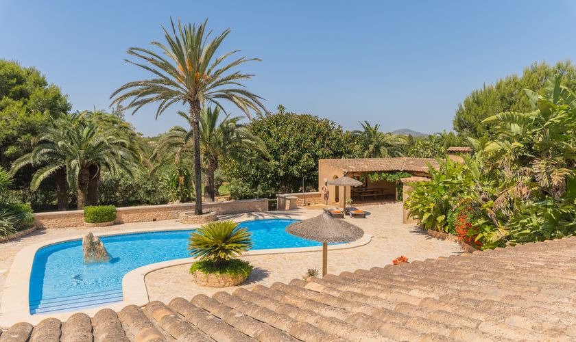 Pool und Terrasse mit Palmen Finca Mallorca Wlan PM 6091