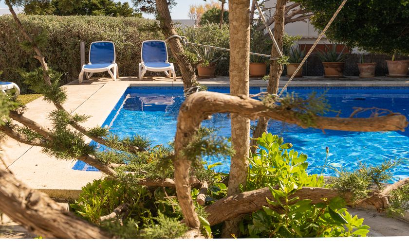 Baum am Pool Ferienhaus Mallorca Südosten mit Klimaanlage und Internet