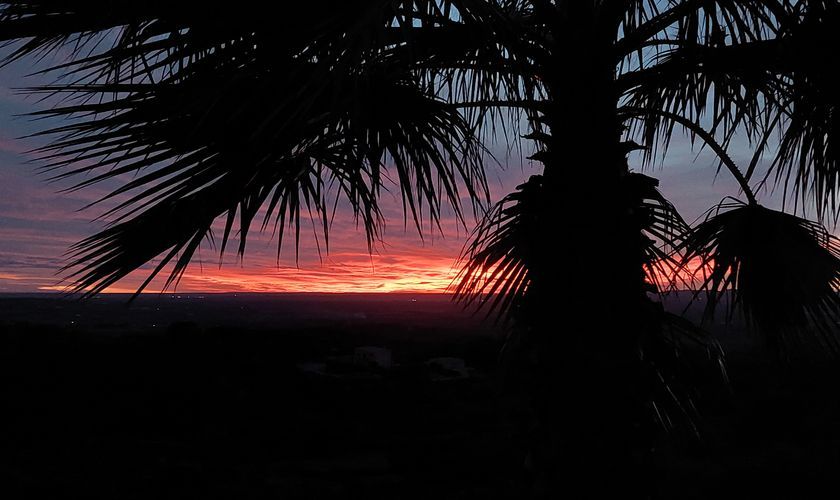 Palme im Sonnenuntergang Finca mit Pool Mallorca PM 6574