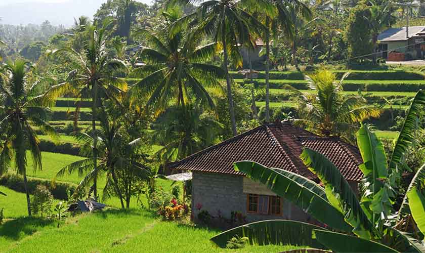 Bali Landschaft