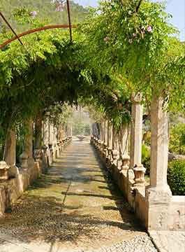 Mallorca Gärten von Alfabia