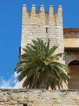 Mallorca Königspalast Palma