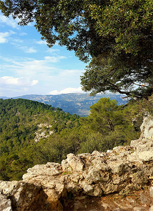 Mallorca Blick auf die Tramuntana-Berge