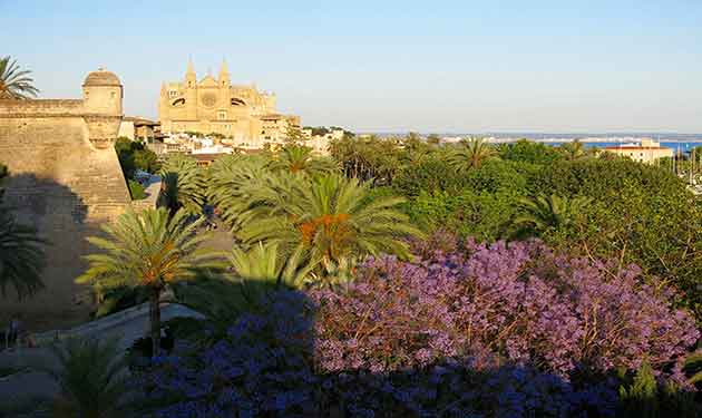 Palma und Kathedrale Mallorca