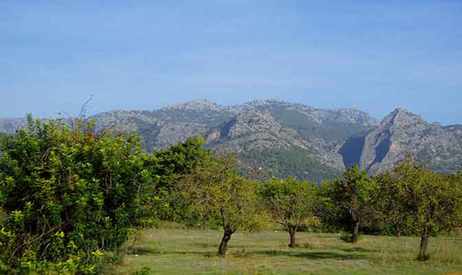 Mallorca Berglandschaft