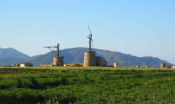Blick auf Windmühlen auf Mallorca
