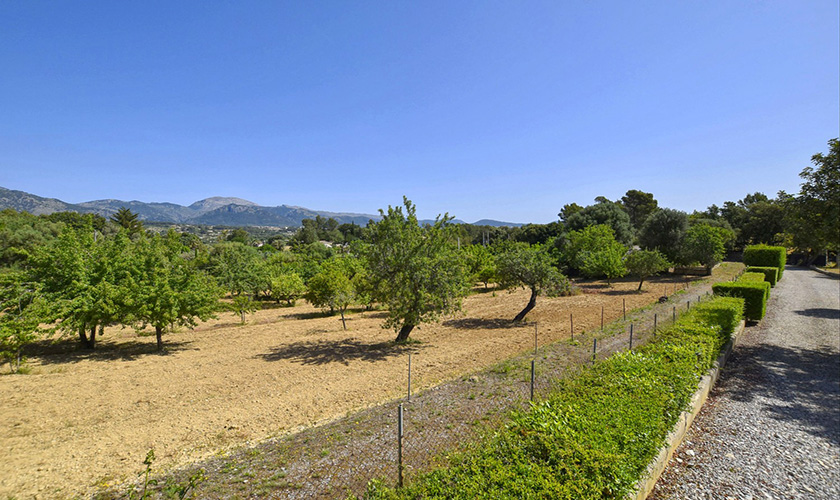 Blick auf die Landschaft Finca Mallorca PM 3105