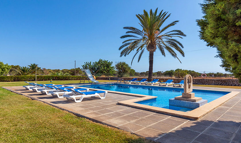 Pool mit Palme im Hintergund Südosten Mallorca Ferienhaus PM 6071