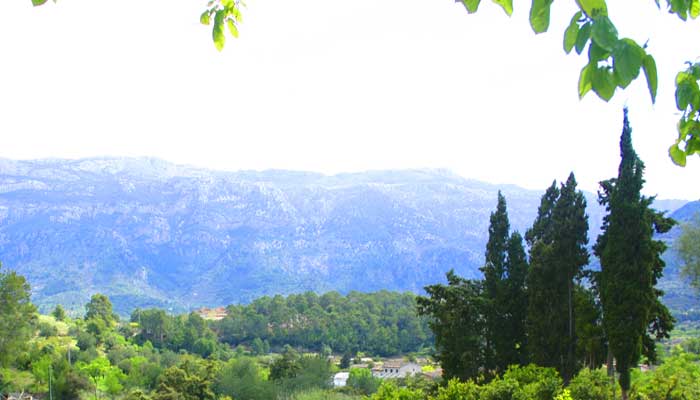 Blick in die Berge bei Soller Mallorca