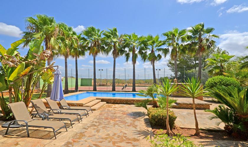 Pool und Palmen Finca Mallorca für 8 - 10 Personen PM 3023