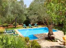 Pool und Garten Ferienfinca Mallorca Pollensa PM 3418