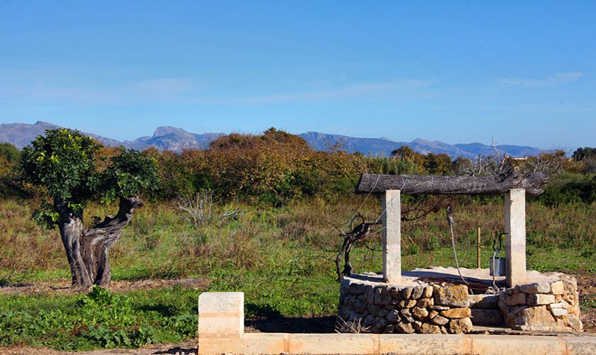 Blick in die Landschaft Ferienvilla  Mallorca Norden PM 370