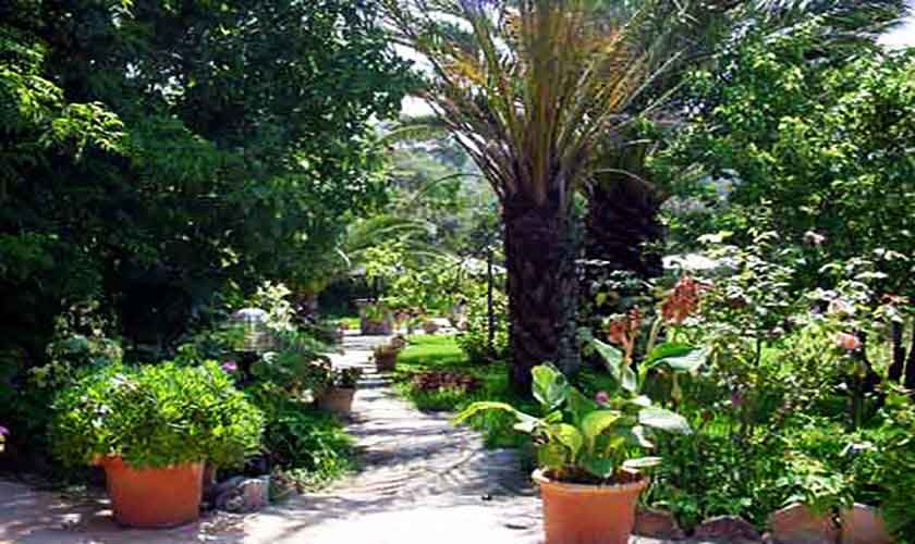Garten Finca Mallorca Nordosten PM 570