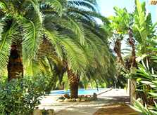 Garten Ferienhaus Mallorca PM 5891 