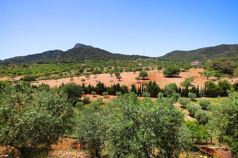 Landschaft Finca Mallorca PM 6055 im Südosten für 10 Personen