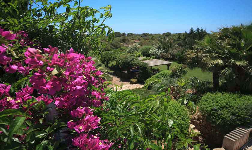 Garten Ferienvilla Mallorca 10 Personen PM 6058